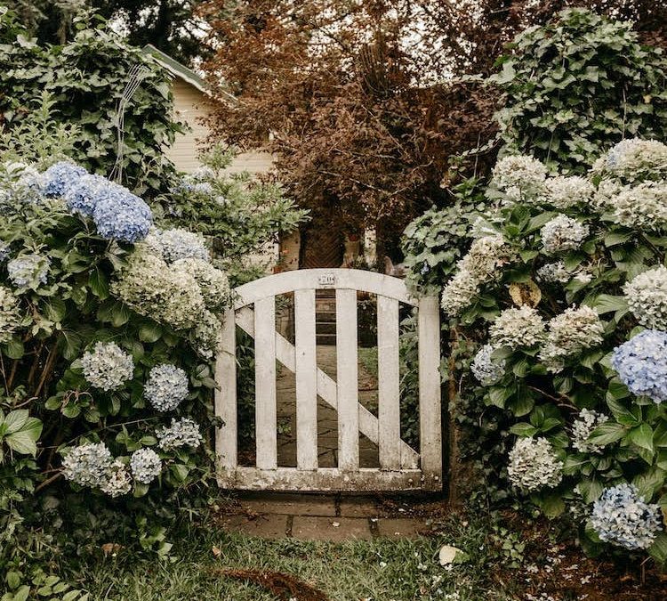 How to Create a Magnificent English Garden- The Ultimate Guide: